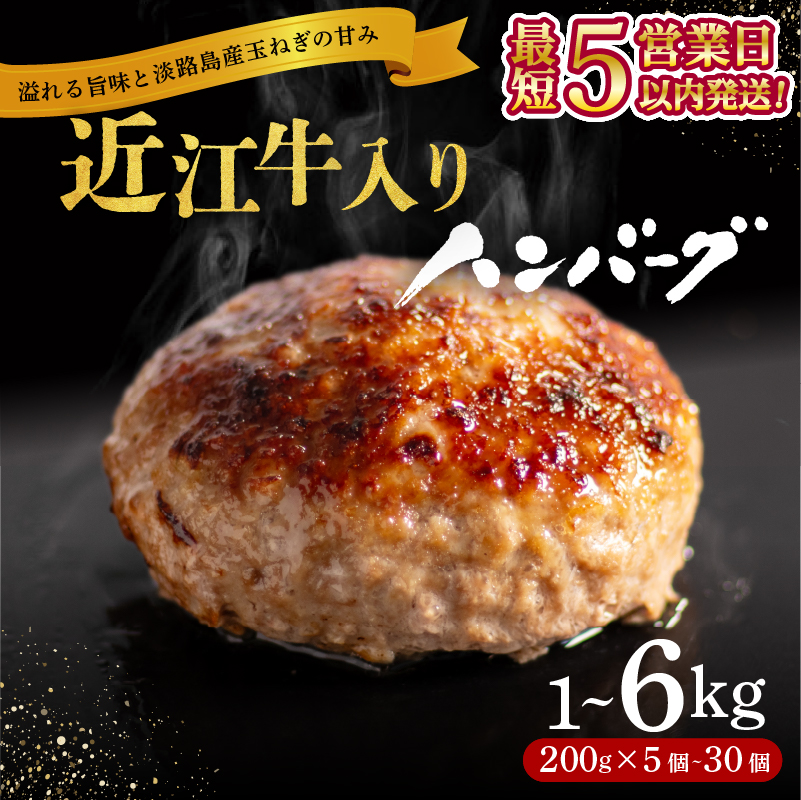 近江牛 入り ハンバーグ 6kg 3kg 2kg 1kg 淡路島産 玉ねぎ 近江牛 使用 合挽き 近江牛 200g/30個15個10個5個 選べる容量 個包装 和牛 牛肉 冷凍 黒毛和牛 豚肉 ポーク ランキング 日本三大和牛 滋賀県 竜王町